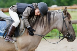 horses and honey manuka honey, honey, honey benefits, manuka honey oil, horse care