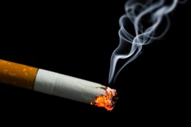 nicotine bee addiction to nicotine