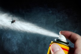 insecticides bee colony collapse
