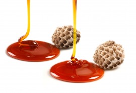 honey bee products royal jelly, propolis