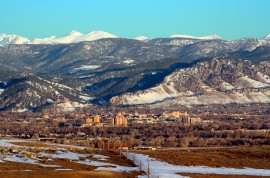 Boulder, Colorado save bee legislation