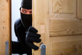 Honeybee Hive Theft manuka honey theft, thefts, beekeepers