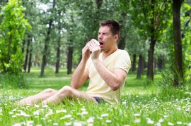 Allergy Relief local honey for allergies