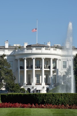 White House. bee colony collapse disorder legislation