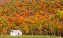 virginia honey month