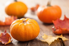 pumpkin recipe dressing, manuka honey recipe