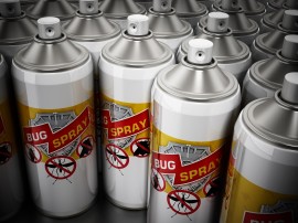 bug spray used to kill bees honeybee death