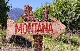 Montana pollinator states