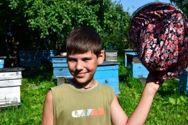 kid honeybee project