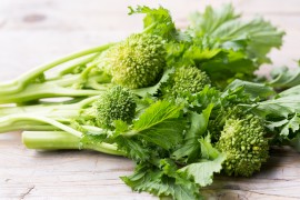 Broccoli Raab for Honeybees broccoli raab, honeybees