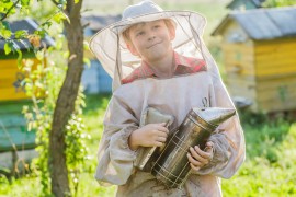 Young beekeeper young beekeeper, honeybee, obama, honey