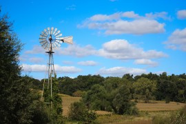 Iowa Windmill Iowa honey, honeybee, colony collapse disorder