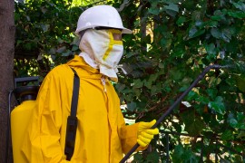 Pesticide Use maryland pesticides, neonicotinoids,