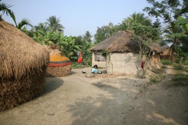 Sundarbans Village sundarbans, honey hunting, raw honey