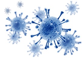 Virus honeybee viruses, interspecies transfer
