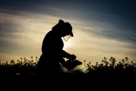 Beekeeping beekeeper, honeybees, manuka honey, beekeeping