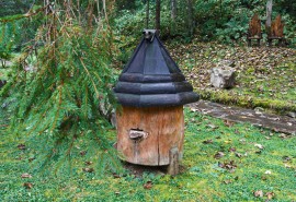 Beekeeping honeybees, beekeeping hobbyists, property rights