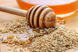 Honey beekeeping, honeybees, honey industry
