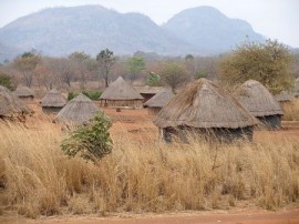 Mbamba Village honeyguides, honey hunters, Mozambique