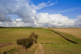 Organic Farming Hedgerow, Farming, Organic, Pests, Pesticides