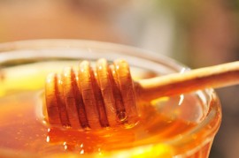 Honey Honey, tasting, honeybees, coconut