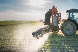 Pesticide Use Pesticides, Honeybees, Neonicotinoids,