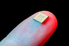 Microchip Microchips, honeybees, DWV