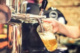 Craft Beer craft beer, honeybees, bees, urban beekeeping