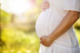 Pregnant Beekeeper pregnant beekeeper, maternity pictures, honey bees